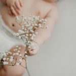 organ genital adalah