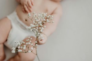 organ genital adalah