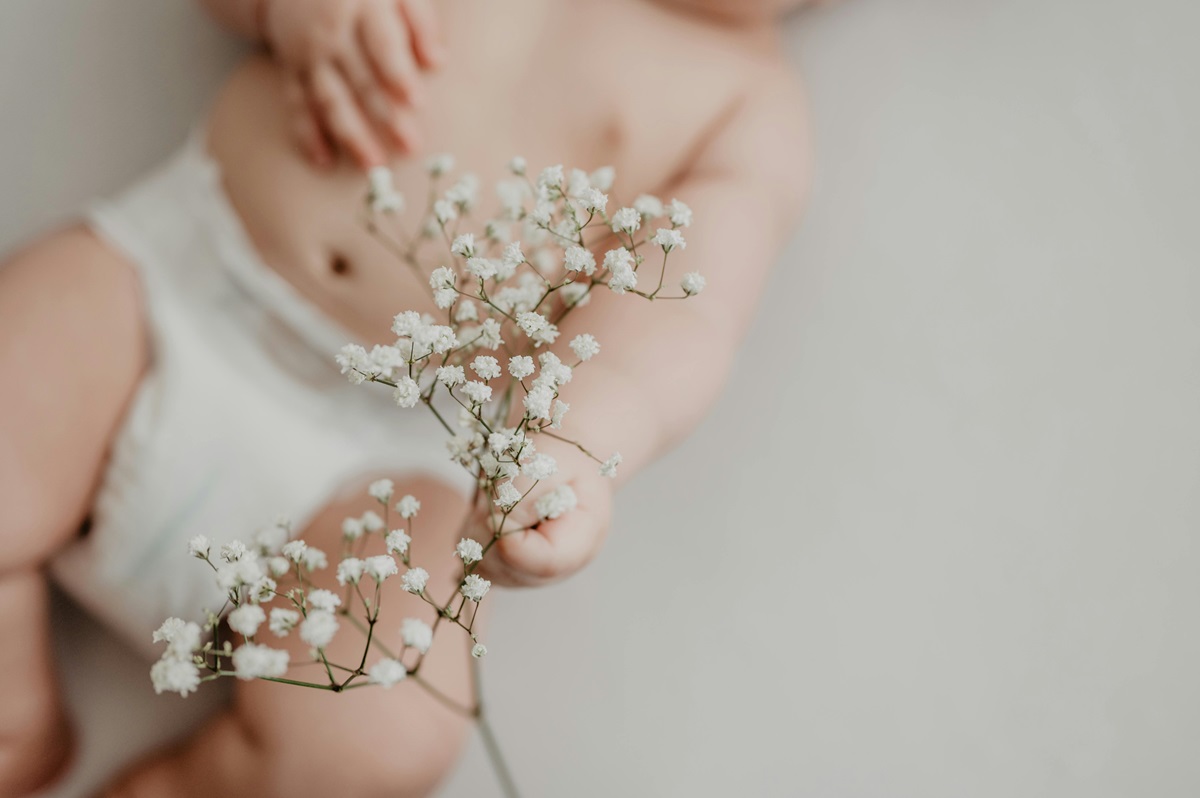organ genital adalah